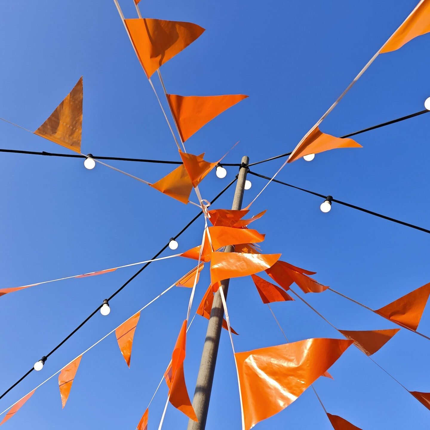 kathy-cat-Dqw-QHTBe5o-unsplash