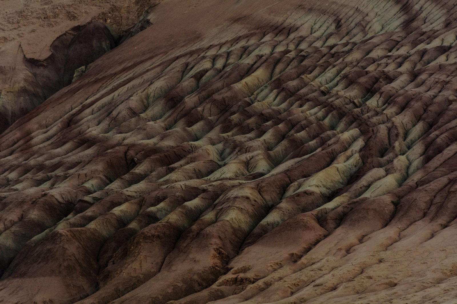 atiyeh-fathi-IzA_ARJvhs8-unsplash (1)