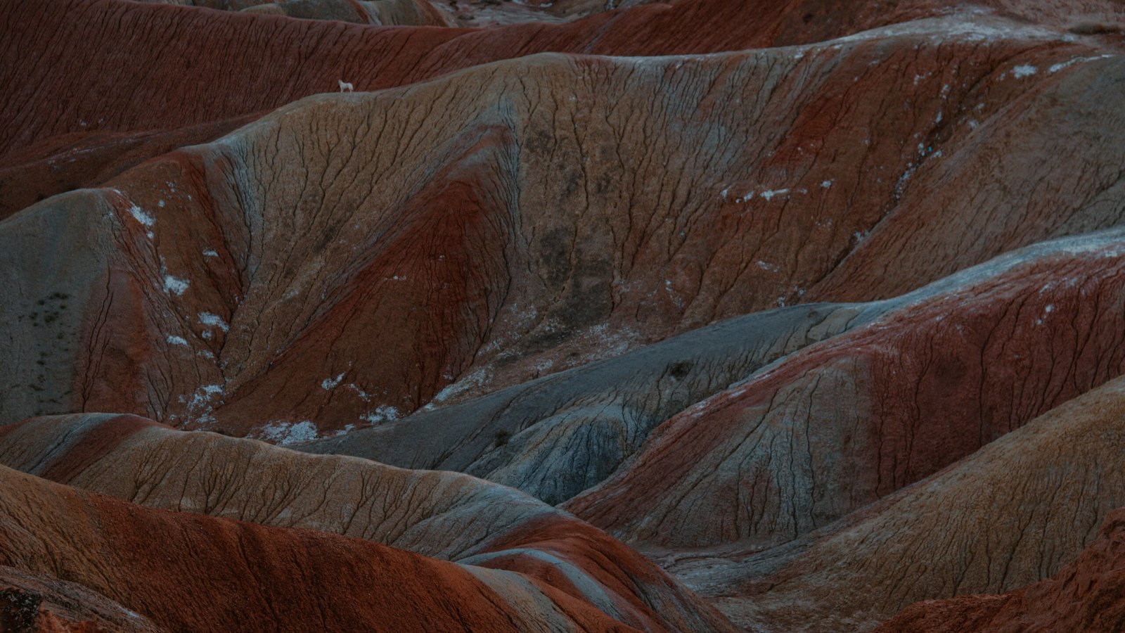 vista-wei-X9qlK6Cv5vU-unsplash (1)
